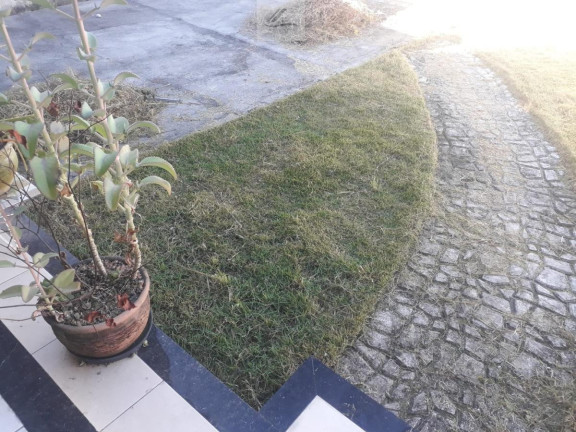 Imagem Casa com 2 Quartos à Venda, 