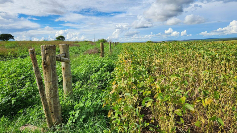 Fazenda à Venda,  em Poxoréo