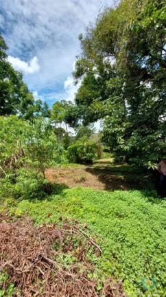 Imagem Fazenda à Venda, 25.000 m² em Jardim Cardoso (mailasqui) - São Roque