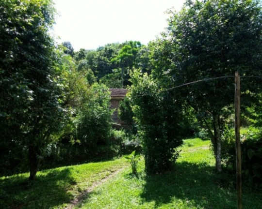 Imagem Imóvel com 4 Quartos à Venda, 88 m² em Vila Olinda - Nova Petrópolis Imagem Imóvel com 4 Quartos à Venda, 88 m² em Vila Olinda - Nova Petrópolis