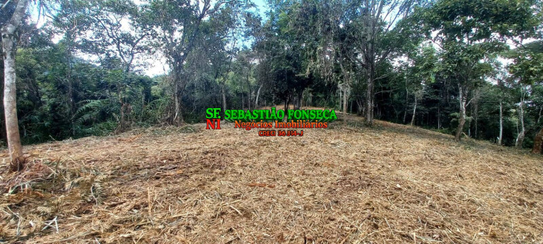 Imagem Chácara à Venda, 30.000 m² em Centro - Monteiro Lobato Imagem Chácara à Venda, 30.000 m² em Centro - Monteiro Lobato