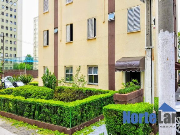 Imagem Apartamento com 2 Quartos à Venda, 49 m² em Jardim Do Tiro - São Paulo