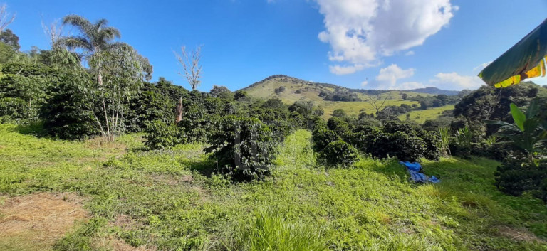 Imagem Imóvel à Venda, 3 m² em Milho Verde - Bandeira Do Sul