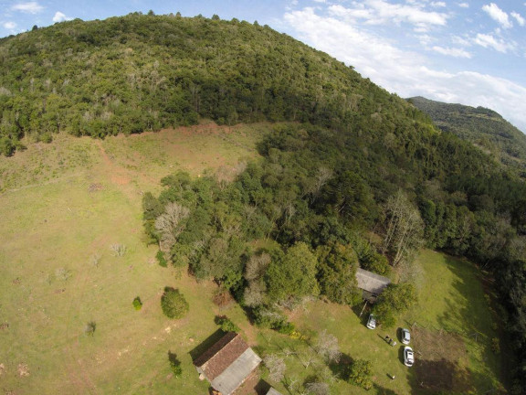 Imagem Imóvel à Venda, 223.400 m² em Linha Forqueta - Gramado
