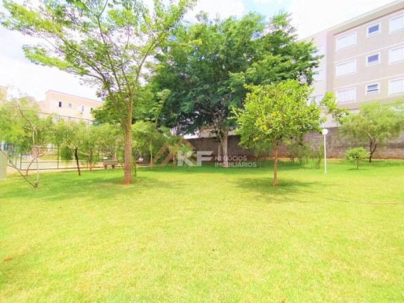 Imagem Apartamento com 2 Quartos à Venda, 49 m² em Ribeirânia - Ribeirão Preto Imagem Apartamento com 2 Quartos à Venda, 49 m² em Ribeirânia - Ribeirão Preto