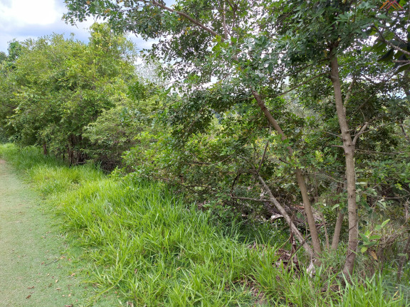 Imagem Terreno à Venda, 1.050 m² em Chácaras Bom Tempo - Franco Da Rocha Imagem Terreno à Venda, 1.050 m² em Chácaras Bom Tempo - Franco Da Rocha