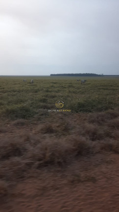 Imagem Imóvel com 3 Quartos à Venda, 49.937 m² em Nova Ubiratã - Nova Ubiratã