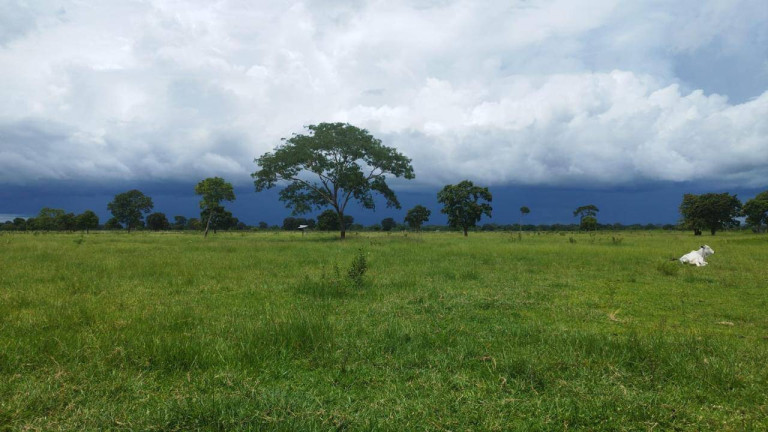 Imagem Fazenda à Venda,  em Rondonópolis
