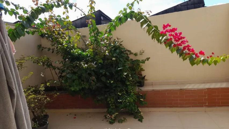 Imagem Casa com 3 Quartos à Venda, 166 m² em Assunção - São Bernardo Do Campo