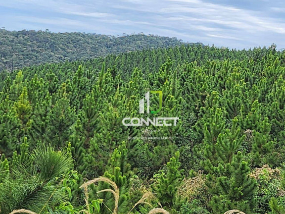 Imagem Fazenda à Venda, 4.477.000 m² em Zona Rural - Bocaiúva Do Sul Imagem Fazenda à Venda, 4.477.000 m² em Zona Rural - Bocaiúva Do Sul