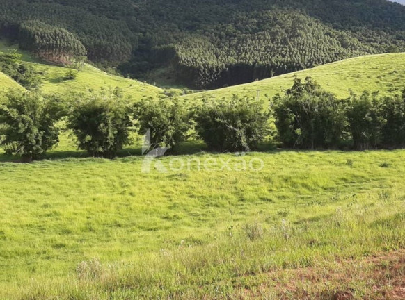 Imagem Fazenda à Venda, 400 m² em Jardim Prado - Santa Branca