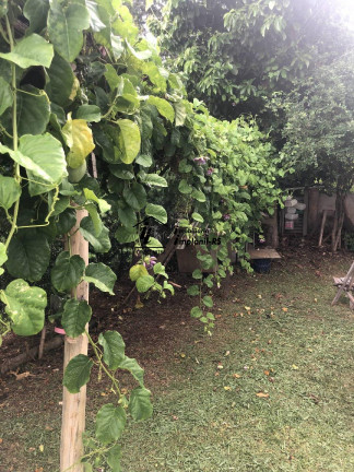 Imagem Casa com 3 Quartos à Venda, 363 m² em Canabarro - Teutônia