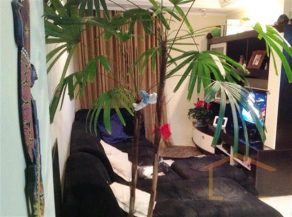 Imagem Apartamento com 2 Quartos à Venda,  em Vila Mazzei - São Paulo