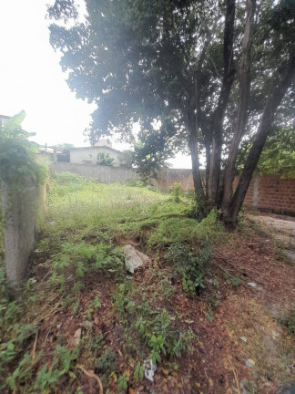 Imagem Terreno à Venda, 12 m² em Praia Da Pipa - Tibau Do Sul Imagem Terreno à Venda, 12 m² em Praia Da Pipa - Tibau Do Sul