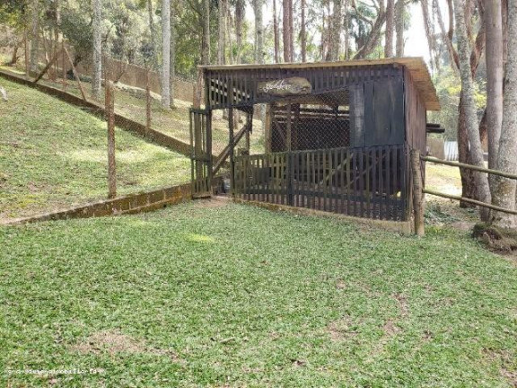 Imagem Chácara à Venda,  em Consultar - Ibiúna