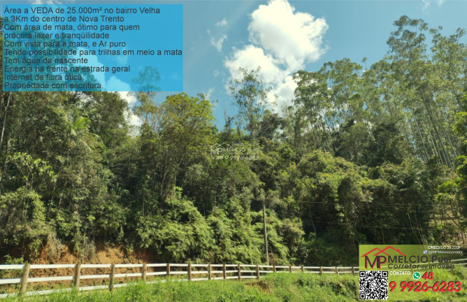Imagem Imóvel à Venda, em Ribeirão Da Velha - Nova Trento Imagem Imóvel à Venda, em Ribeirão Da Velha - Nova Trento