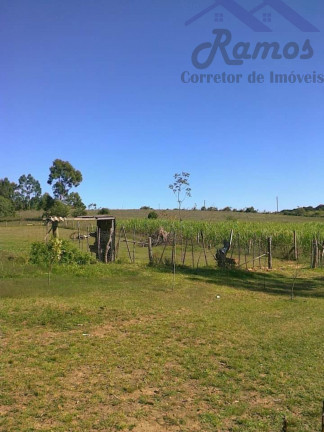 Imagem Imóvel com 3 Quartos à Venda, 20.000 m² em Itapua - Porto Alegre