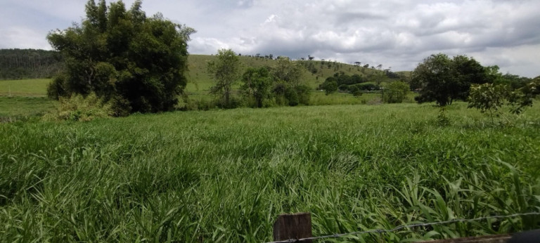 Imagem Fazenda à Venda, 150 m² em Parque Das Alamedas - Guaratinguetá
