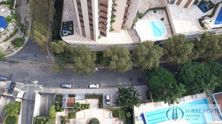 Imagem Apartamento com 3 Quartos à Venda, 117 m² em Chácara Klabin - São Paulo