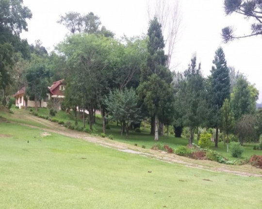 Imagem Imóvel à Venda, 2.039 m² em Linha Brasil - Nova Petrópolis Imagem Imóvel à Venda, 2.039 m² em Linha Brasil - Nova Petrópolis