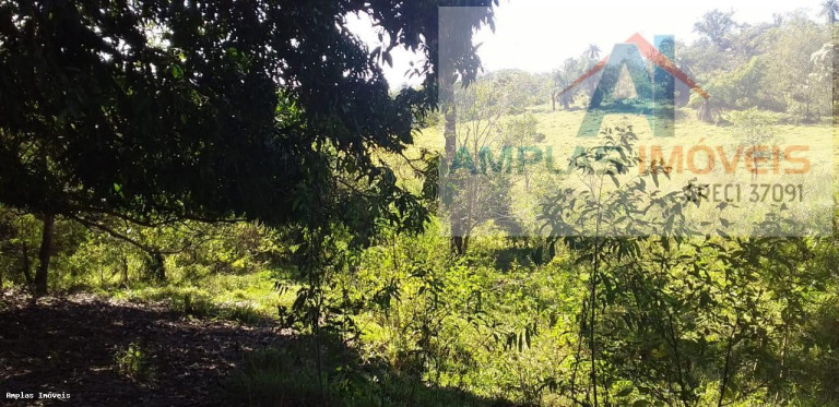 Imagem Fazenda à Venda, 64 m² em Fortuna De Minas