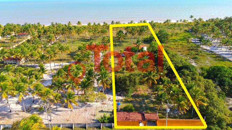 Imagem Terreno à Venda, 6.000 m² em Nova Viçosa Imagem Terreno à Venda, 6.000 m² em Nova Viçosa