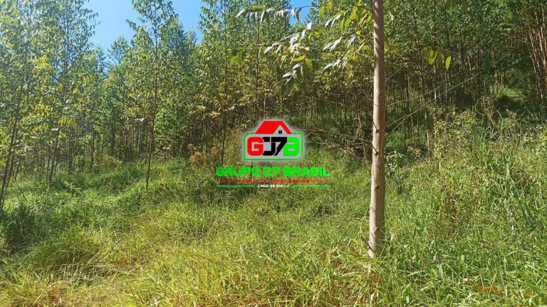 Imagem Chácara à Venda, 10 m² em Zona Rural De Paraibuna - Paraibuna