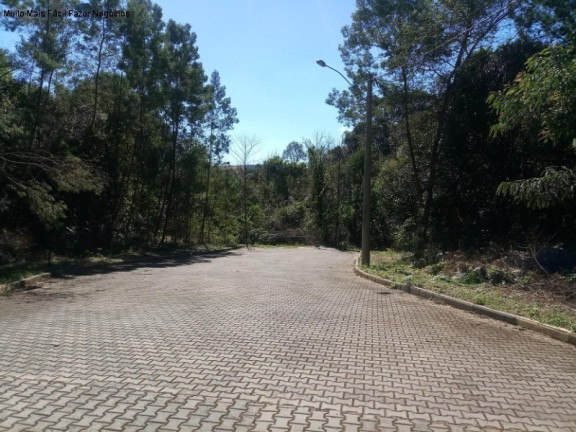 Imagem Terreno à Venda, 514 m² em Juriti - Nova Petrópolis Imagem Terreno à Venda, 514 m² em Juriti - Nova Petrópolis