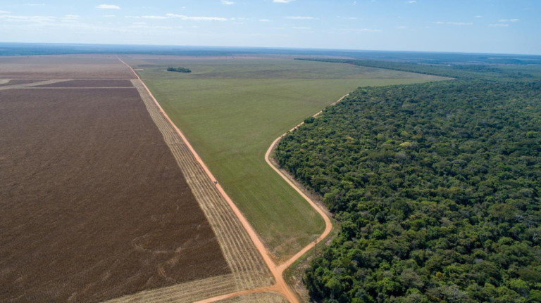 Imagem Fazenda à Venda, 3.000 m² em Zona Rural - Nova Maringá Imagem Fazenda à Venda, 3.000 m² em Zona Rural - Nova Maringá
