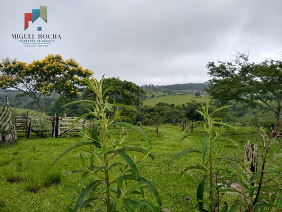 Imagem Imóvel à Venda, 205.700 m² em Centro - Quadra