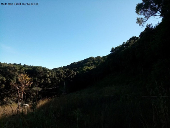 Imagem Terreno à Venda, 2 m² em Linha Imperial - Nova Petrópolis