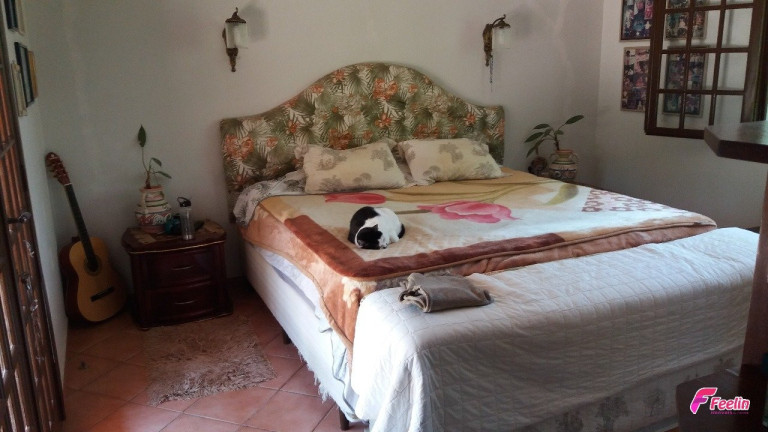 Imagem Casa com 4 Quartos à Venda, 220 m² em São João Do Rio Vermelho - Florianópolis Imagem Casa com 4 Quartos à Venda, 220 m² em São João Do Rio Vermelho - Florianópolis