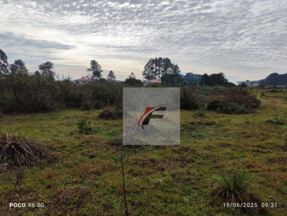 Imagem Chácara com 3 Quartos à Venda, 28.000 m² em Contenda - São José Dos Pinhais Imagem Chácara com 3 Quartos à Venda, 28.000 m² em Contenda - São José Dos Pinhais