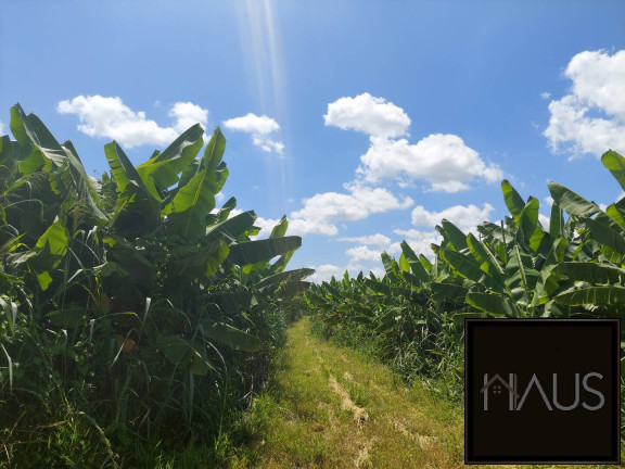 Imagem Fazenda à Venda, 29 m² em Centro - Sete Lagoas Imagem Fazenda à Venda, 29 m² em Centro - Sete Lagoas