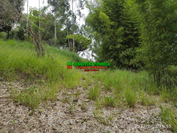 Imagem Chácara à Venda, 15.000 m² em Sob. Consulta - Paraibuna Imagem Chácara à Venda, 15.000 m² em Sob. Consulta - Paraibuna