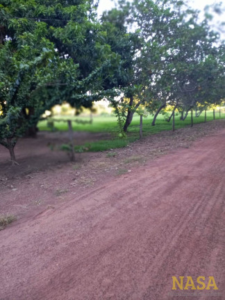 Imagem Chácara com 2 Quartos à Venda,  em Cuiabá