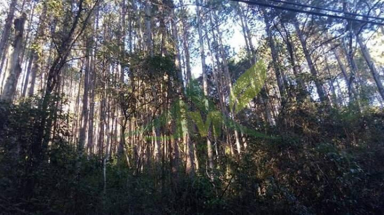 Terreno à Venda, 22.000 m² em Portão - Atibaia