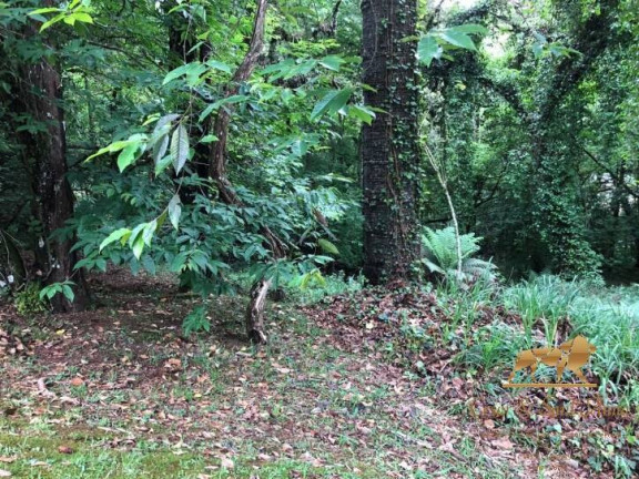Imagem Terreno à Venda, 2.450 m² em Capivari - Campos Do Jordão Imagem Terreno à Venda, 2.450 m² em Capivari - Campos Do Jordão