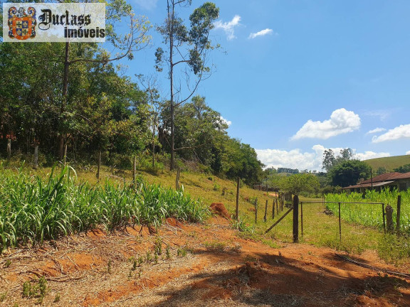 Imagem Chácara com 6 Quartos à Venda, 25.400 m² em Zona Rural - Cambuí Imagem Chácara com 6 Quartos à Venda, 25.400 m² em Zona Rural - Cambuí