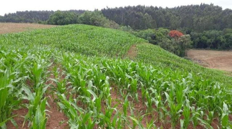 Imagem Imóvel à Venda, 30.000 m² em Quitandinha - Quitandinha Imagem Imóvel à Venda, 30.000 m² em Quitandinha - Quitandinha