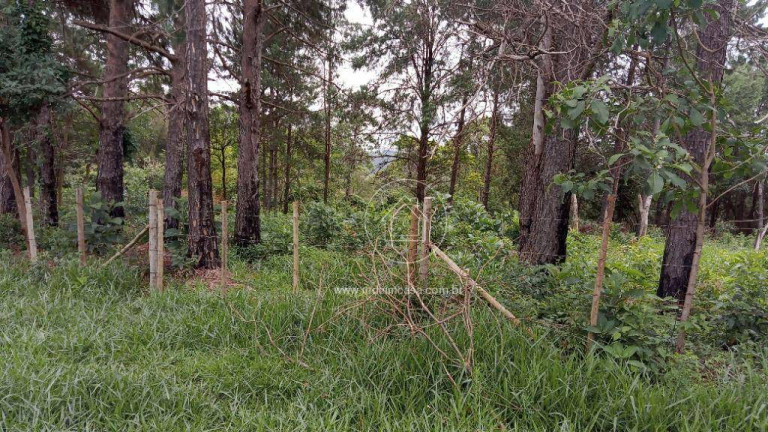 Imagem Terreno em Condomínio à Venda, 15.070 m² em Estoril - Nova Lima