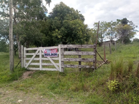 Terreno à Venda, 5.000 m² em Boi Morto - Santa Maria