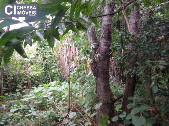 Imagem Terreno à Venda, 880 m² em São Judas - Itajaí Imagem Terreno à Venda, 880 m² em São Judas - Itajaí