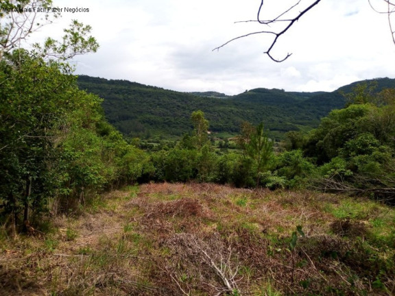Imagem Terreno à Venda, 6 m² em Linha Temerária - Nova Petrópolis