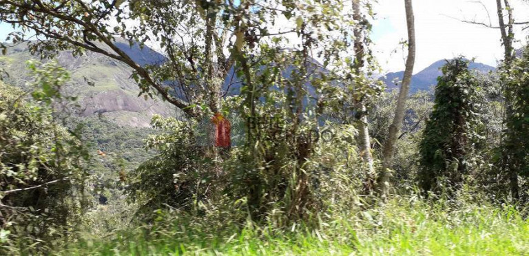 Imagem Terreno à Venda, 4.335 m² em Quebra Frascos - Teresópolis Imagem Terreno à Venda, 4.335 m² em Quebra Frascos - Teresópolis