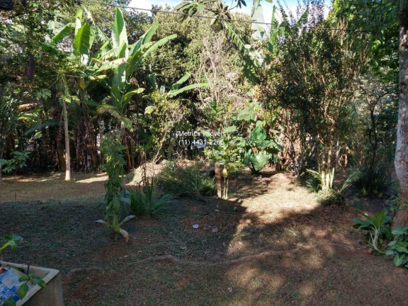 Imagem Imóvel com 2 Quartos à Venda, 1.227 m² em Fazenda Marajoara - Campo Limpo Paulista Imagem Imóvel com 2 Quartos à Venda, 1.227 m² em Fazenda Marajoara - Campo Limpo Paulista