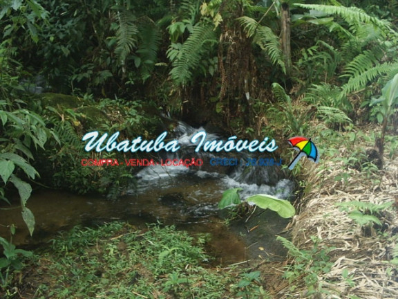 Imagem Fazenda à Venda, 240 m² em Casanga - Ubatuba Imagem Fazenda à Venda, 240 m² em Casanga - Ubatuba