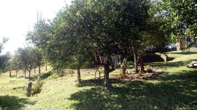 Imagem Imóvel à Venda, 3.228 m² em Santa Cruz Da Concórdia - Taquara Imagem Imóvel à Venda, 3.228 m² em Santa Cruz Da Concórdia - Taquara