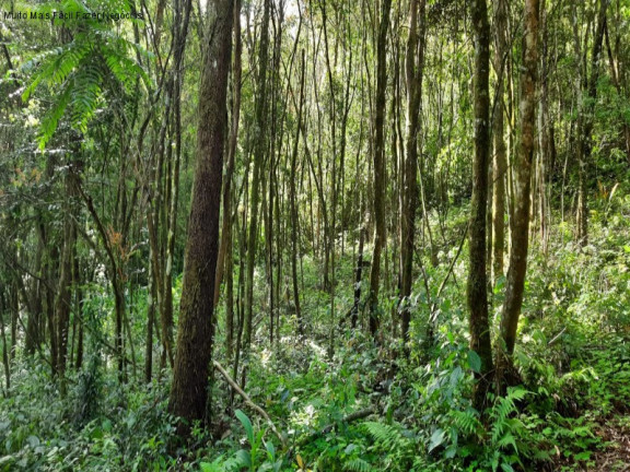 Imagem Terreno à Venda, 3 m² em São Jacó - Nova Petrópolis
