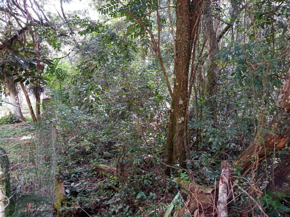 Imagem Terreno à Venda, 1.350 m² em águas Claras - Viamão Imagem Terreno à Venda, 1.350 m² em águas Claras - Viamão
